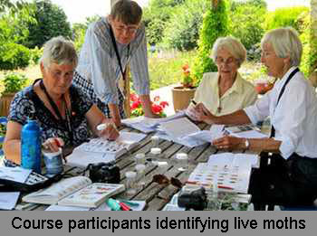 moth identification training course
