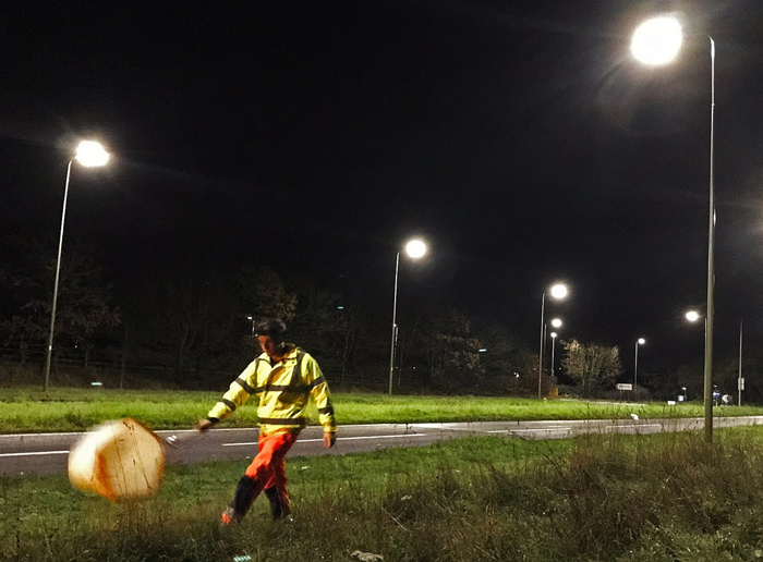 moth trapping