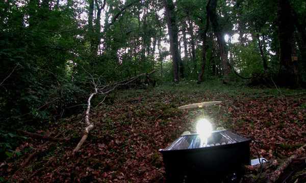 moth trapping and moth surveying